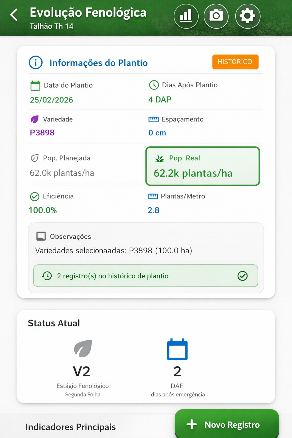 Evolução Fenológica